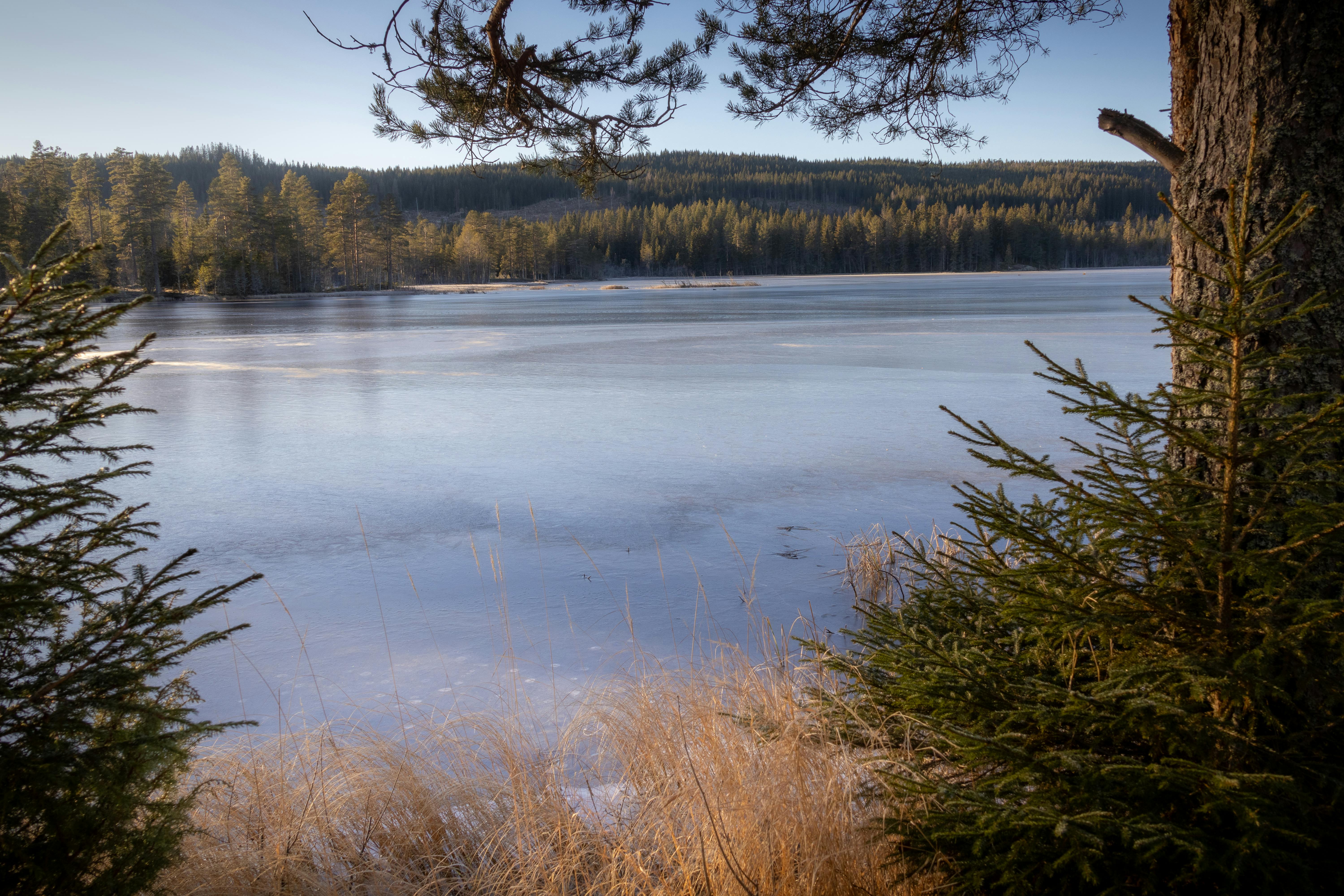 lake view from hiking trail