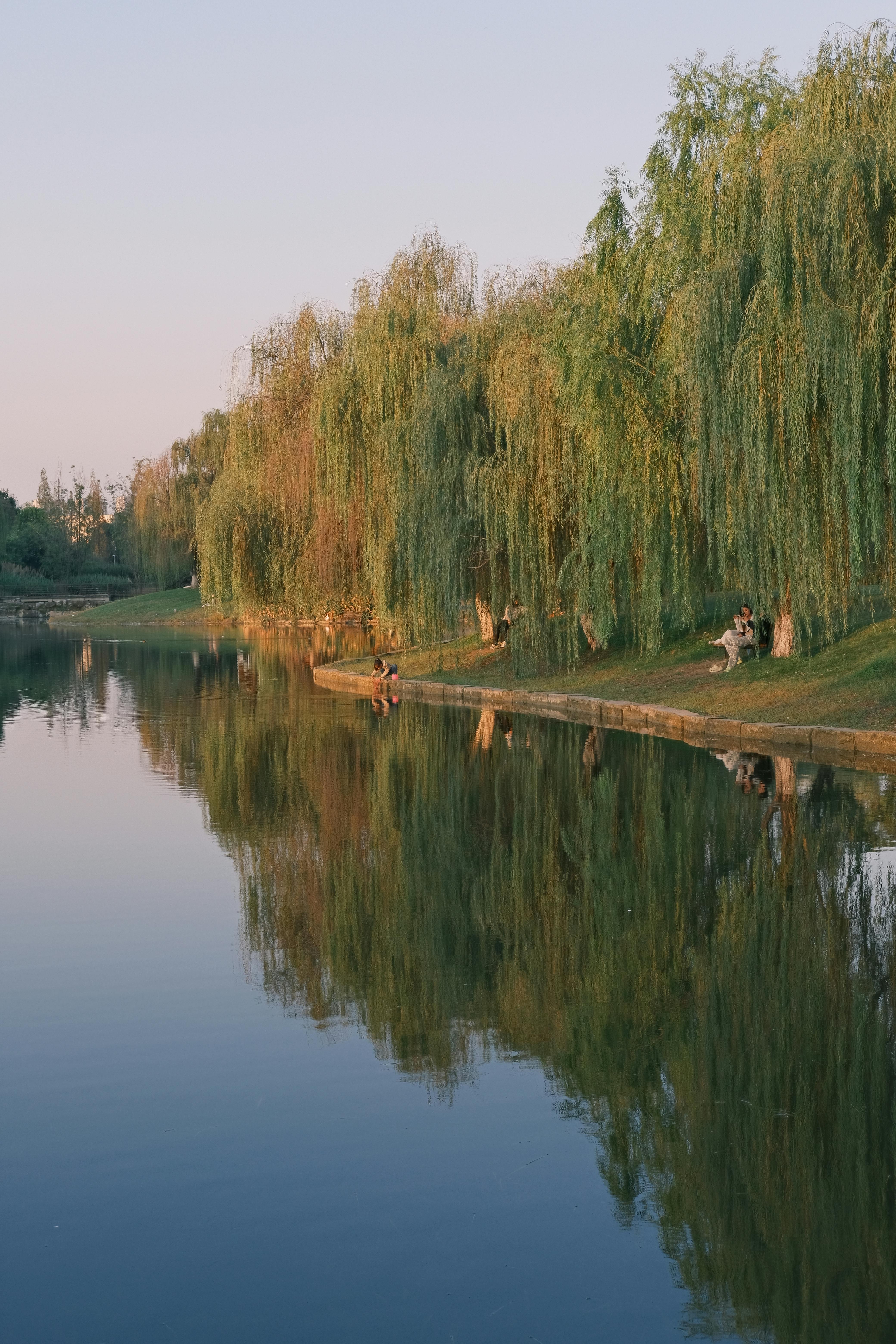 lakeside view