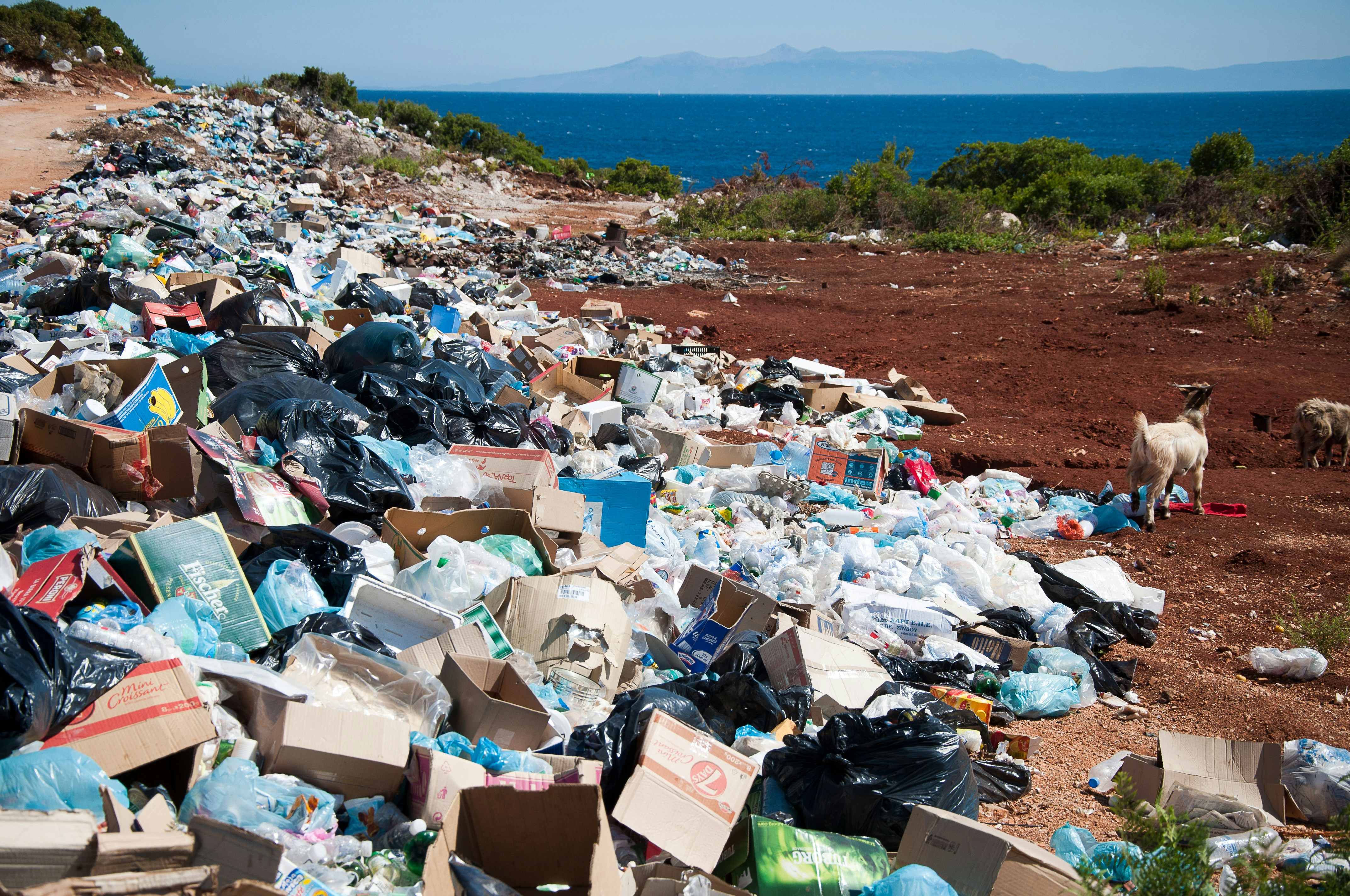 trash pile